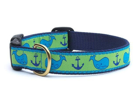 Up Country, Inc. - Whale Dog Collar