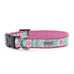 The Worthy Dog - Watercolor Floral Collar: X Large / Teal
