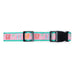 The Worthy Dog - Flip Flops Collar: X Large / Pink