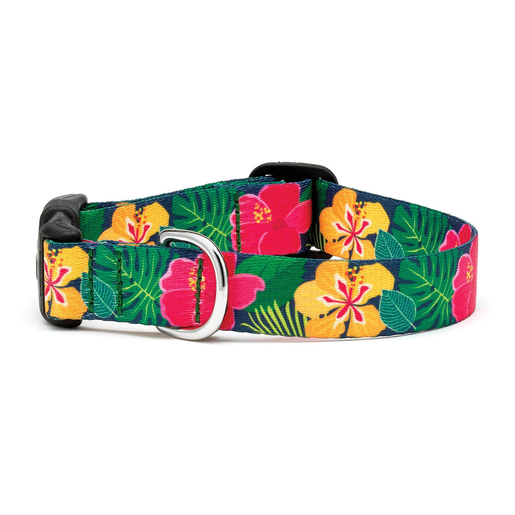 Up Country - Hibiscus Dog Collar