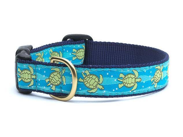 Up Country - Sea Turtle Dog Collar