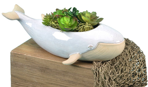 Streamline - Sprouter Whale Planter