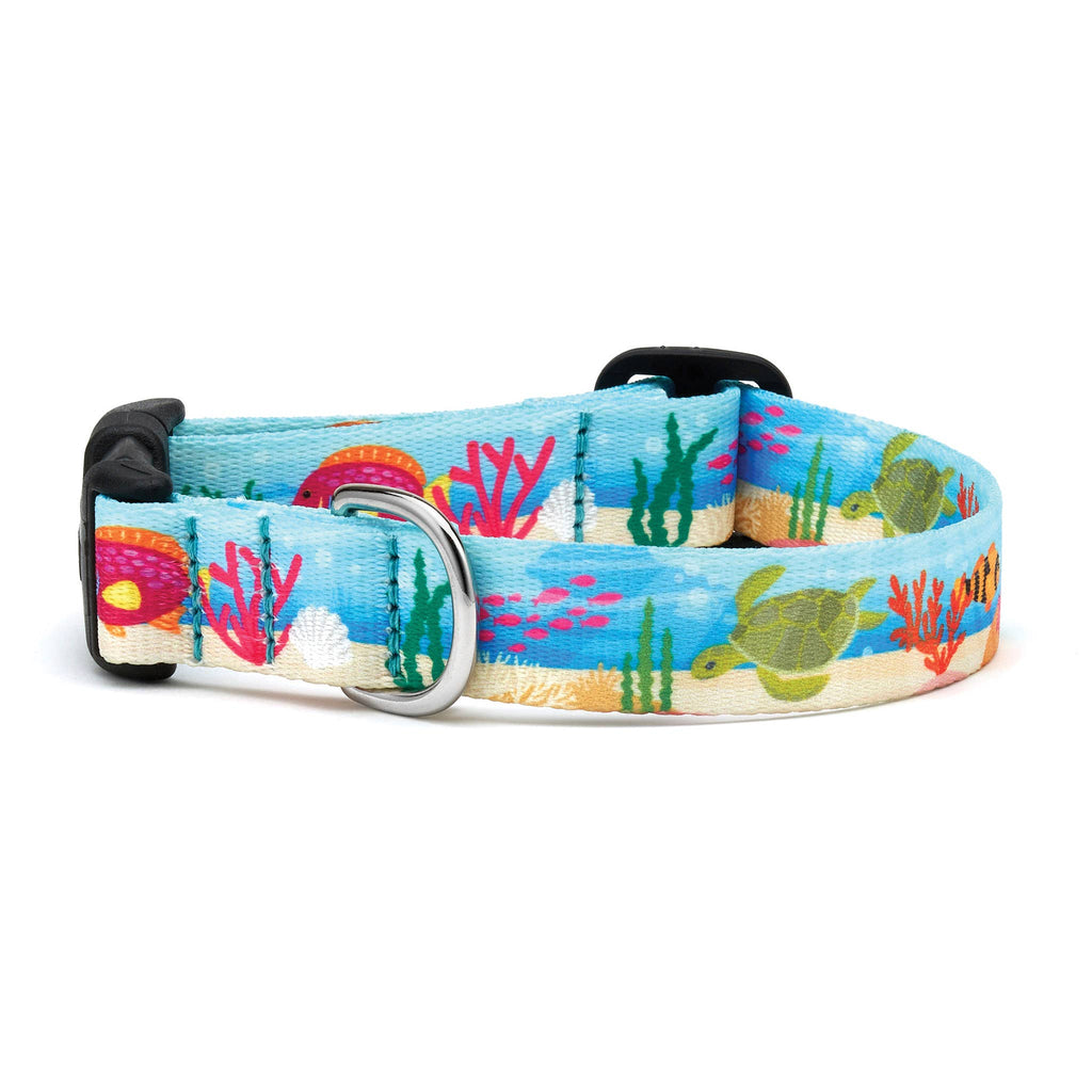 Up Country - Oceanic Dog Collar