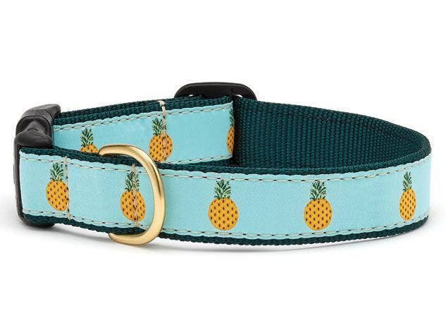 Up Country - Pineapple Dog Collar