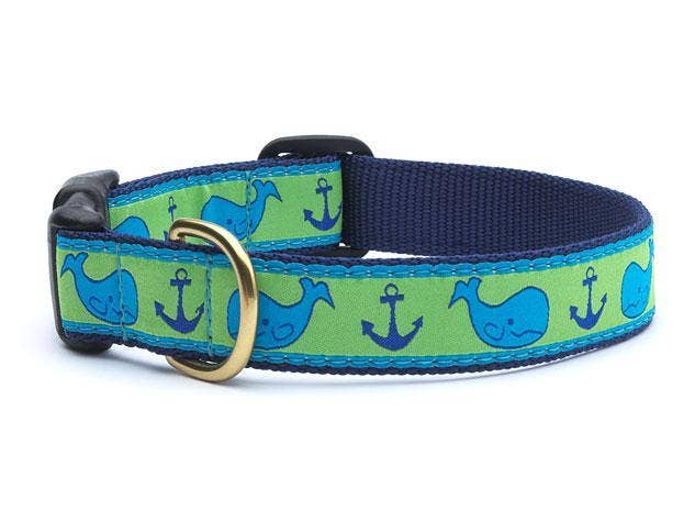 Up Country, Inc. - Whale Dog Collar