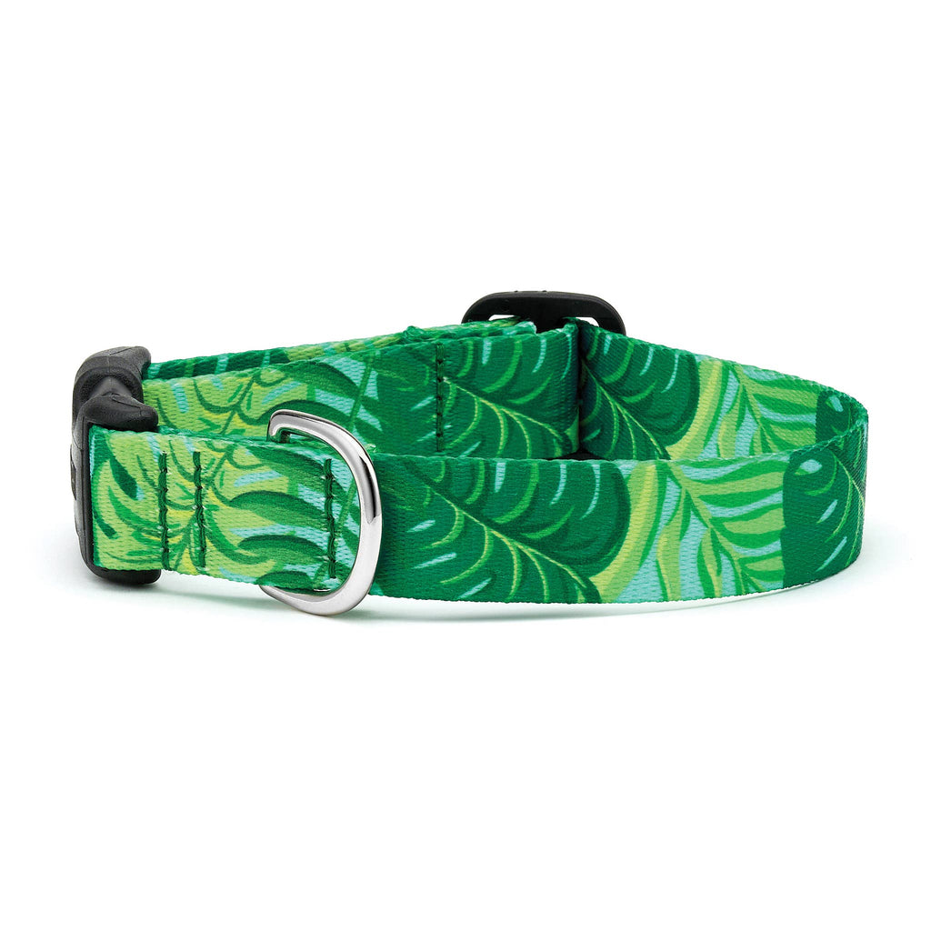 Up Country, Inc. - Palms Dog Collar